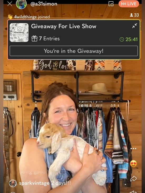 🤠🚂 ROPING & RAIDING Western Boho Train Show - Picture 8 of 12